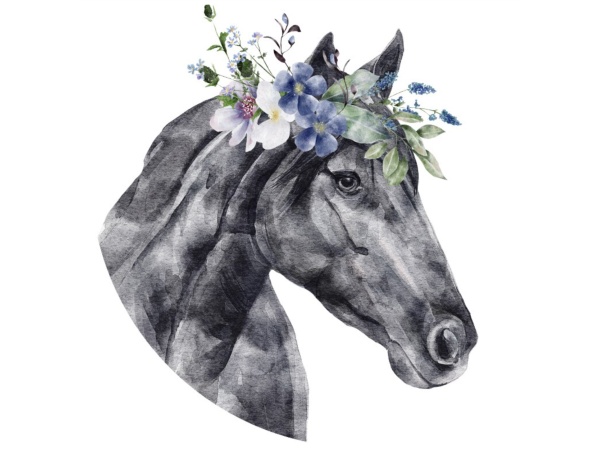 Bügelbild grosses schwarzes Pferd mit Blumen