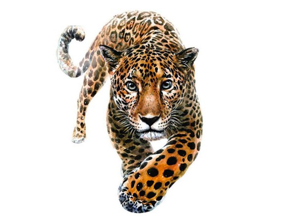 Bügelbild Leopard